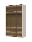 Kleiderschrank mit drei Glastüren Neiafu 06, inkl. Innenbeleuchtung, Farbe: Kaschmir, Soft-Close-Funktion, verstellbare Füße, Maße: 224 x 137 x 56 cm