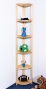 Regal 40 cm breit 200cm hoch