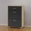 Schuhschrank Stepino | Farbe: Eiche Artisan / Anthrazit matt | 2 Klippfächer | 1 Schublade |Garderobe | 60 x 30 x 88,5 cm | Flur