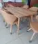 Esstisch Wooden Nature 203 Buche massiv natur geölt - Abmessungen: 180 x 90 cm (B x T)