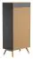Drehtürenschrank / Kleiderschrank Naema 08, Farbe: Grau / Eiche - Abmessungen: 208 x 100 x 58 cm (H x B x T)