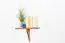 Wandboard 40 cm breit