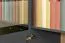 Kommode Vaitele 28, Farbe: Anthrazit Hochglanz / Walnuss - 88 x 167 x 45 cm (H x B x T)