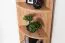 Eckregal Curug 03, Farbe: Eiche - Abmessungen: 113 x 34 x 34 cm (H x B x T)