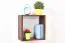 Hängeregal / Wandregal Kiefer massiv Vollholz Nussfarben Junco 291A - 40 x 40 x 20 cm (H x B x T)