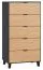 Kommode Leoncho 31, Farbe: Schwarz / Eiche - Abmessungen: 122 x 63 x 47 cm (H x B x T)