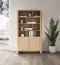 Bücherregal | 170 x 103 x 39 cm | Holzoptik | Vytgarth 08 | eckig | Eiche | 2 Türen | mit 12 geräumigen Fächer | griffloses Design | viel Platz