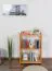 Regal Kiefer massiv Vollholz Erlefarben Junco 57C - 60 x 30 x 86 cm (B x T x H)
