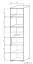 Vitrine Tabubil 23, Farbe: Wenge / Grau - Abmessungen: 200 x 50 x 41 cm (H x B x T)