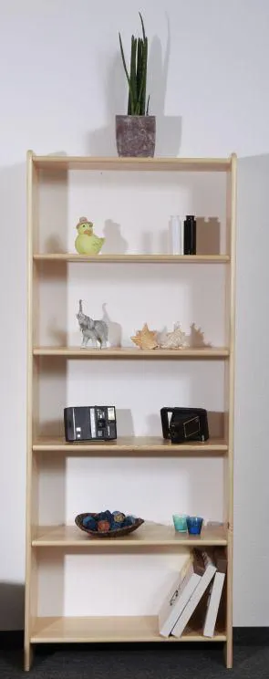 Bücherregal Abbildung