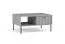 Couchtisch / Kaffeetisch Alonnisos 04, Soft-Close-Funktion, Farbe: Grau, Griffe & Beine: Metall, zwei Kipptüren, zwei Fächer, Maße: 43 x 87 x 66 cm