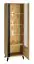 Vitrine Lassila 02, Farbe: Eiche Artisan / Schwarz - Abmessungen: 191 x 61 x 40 cm (H x B x T), mit einer Tür und 5 Fächern