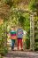 Pergolaset Jardin gebogen - Abmessung (cm): 120 x 50 x 220 (B x T x H)