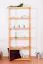 Regal Kiefer massiv Vollholz Erlefarben Junco 54A - 200 x 80 x 30 cm (H x B x T)