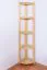 Regal 40 cm breit Kiefer