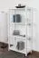 Regal Kiefer massiv Vollholz weiß lackiert Junco 56C - 125 x 60 x 30 cm (H x B x T)