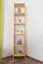 Regal 40 cm breit Kiefer