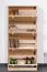 Schuhkipper Kiefer Holz massiv, Farbe: Natur 150x72x29 cm, Schuhschrank Schuhkommode Abbildung