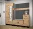 Eleganter Schrank mit Spiegel Morteratsch 02, Farbe: Eiche / Schwarz - Abmessungen: 196 x 74 x 46 cm (H x B x T), mit zwei Fächern und einer Kleiderstange