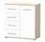 Kommode | Weiß / Eiche | Comarca 01 | 96 x 90 x 45 cm | 1 Türe | 4 Schubladen | 3 Fächer | Zweifarbig | Griffe silberfarben | weiße Front | Holzoptik