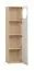 Schlichtes Bücherregal mit zwei Türen Aenna 61, Farbe: Weiß / Eiche, Maße: 202,5 x 50,5 x 35 cm, verstellbare Füße, vier Fächer, Griffe: Weiß