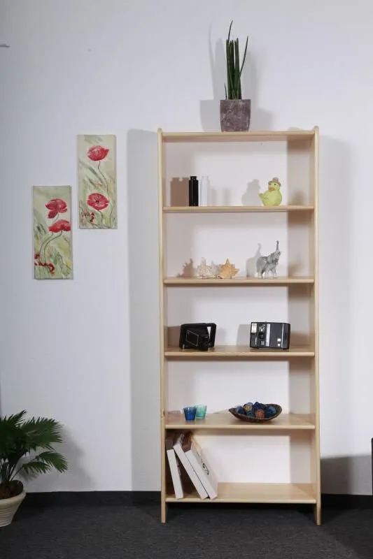 Bücherregal Abbildung