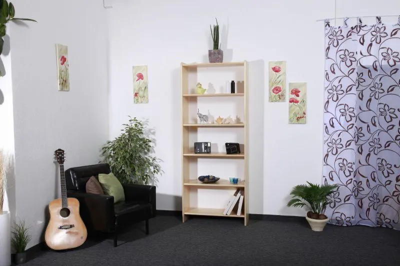 Bücherregal Abbildung