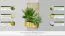 Blumenkasten mit Rankgitter Zizania 02 - 75 x 30 x 180 cm (B x T x H)