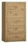 Kommode Vanimo 19, Farbe: Eiche - Abmessungen: 125 x 70 x 42 cm (H x B x T)